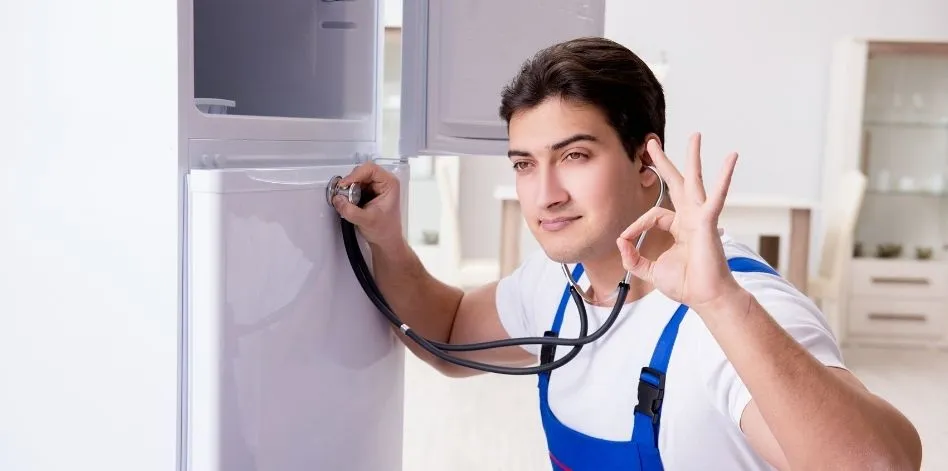 refrigeradores de cfe